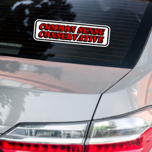 Load image into Gallery viewer, Common Sense Conservative Bumper Sticker